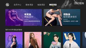 BesTV當(dāng)貝健身
