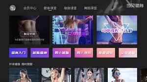 BesTV當(dāng)貝健身