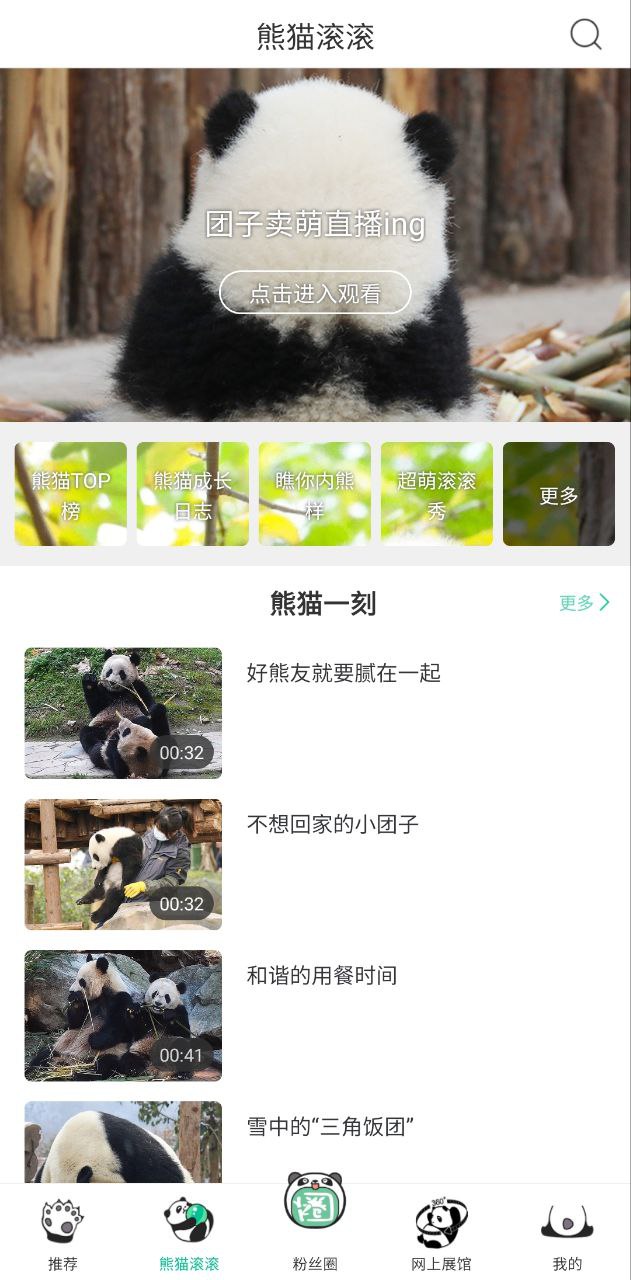 熊貓頻道