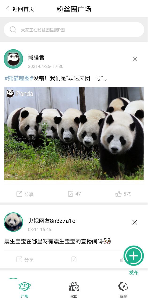 熊貓頻道