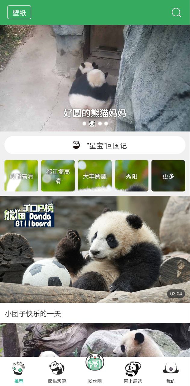 熊貓頻道