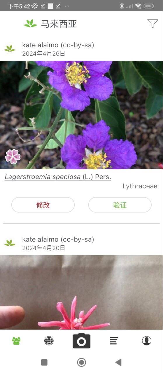 掌上植物網