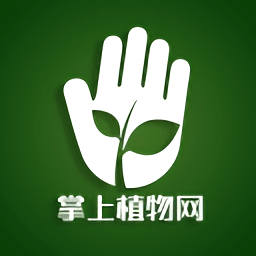 掌上植物網