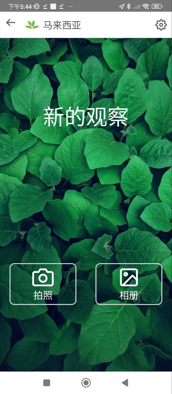 掌上植物網