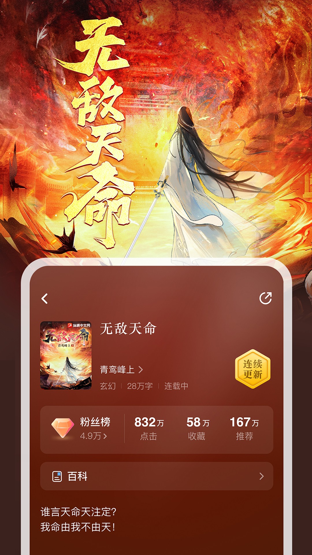縱橫小說