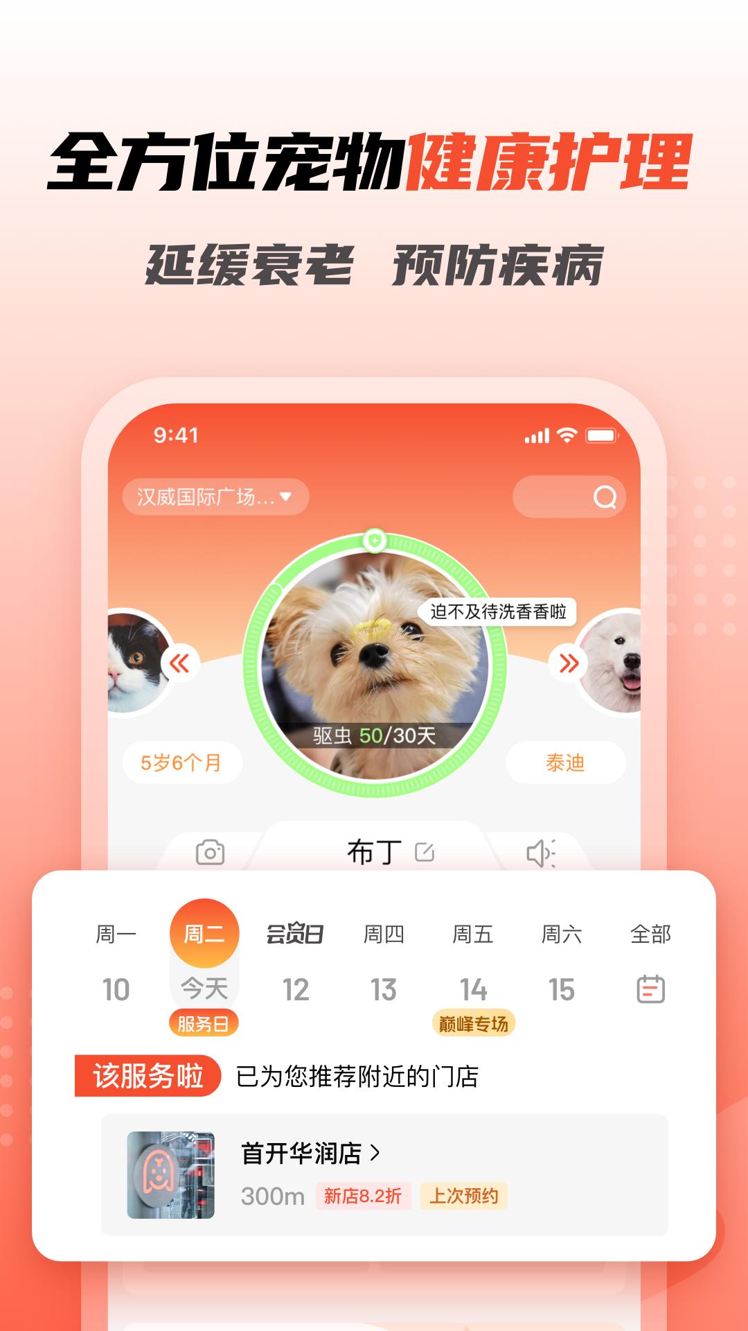 寵物家