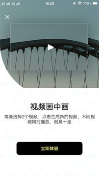 小豬視頻