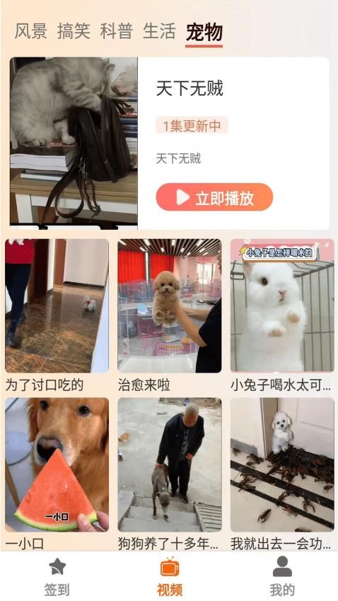 塔奇劇場