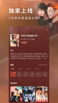 紅果免費短劇