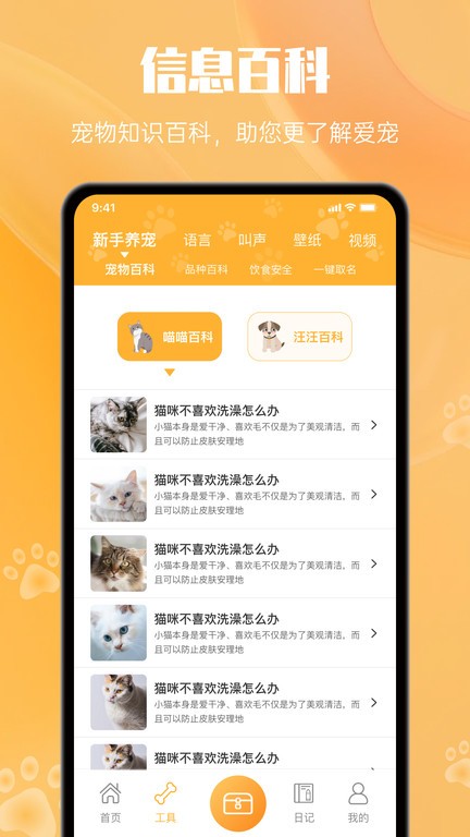網喵