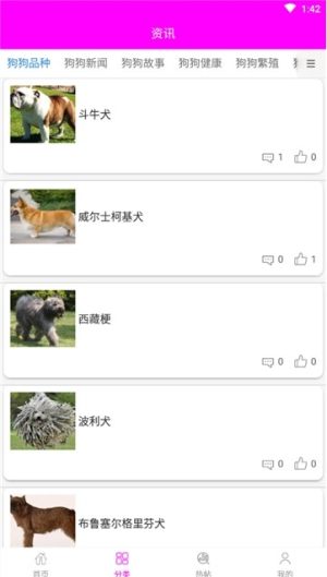 寵物寶寶大全