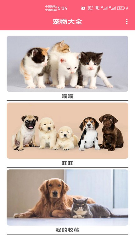 寵物寶寶大全