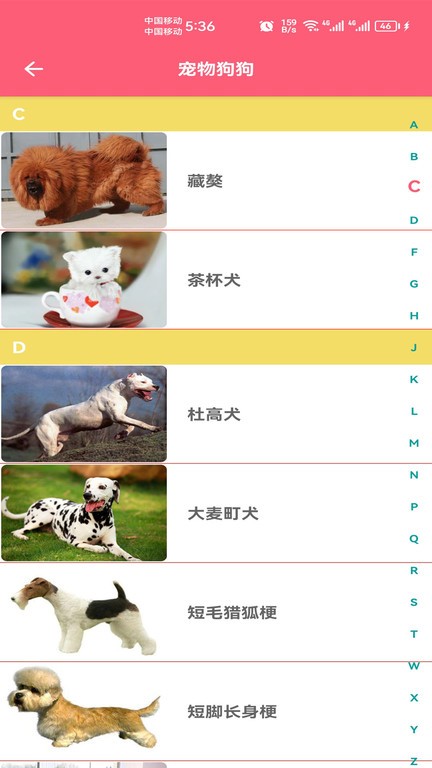 寵物寶寶大全