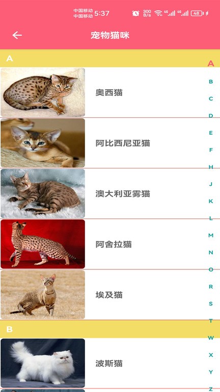 寵物寶寶大全