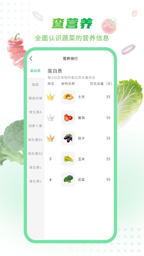 有機菜食譜