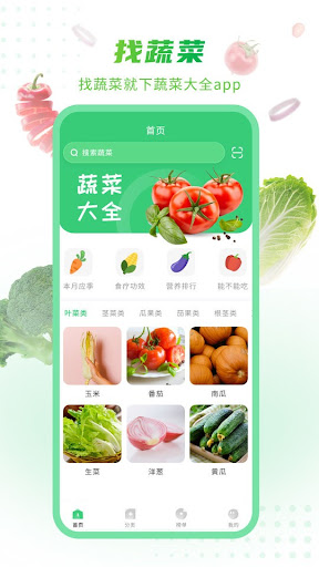 有機菜食譜