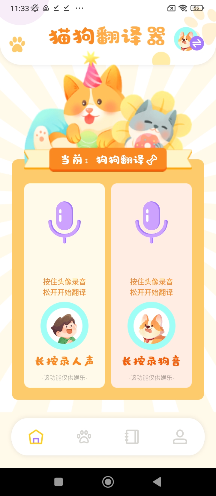 貓咪請就位
