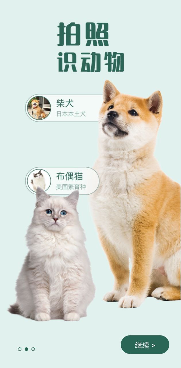 拍照識花君