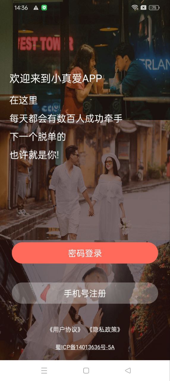 小真愛