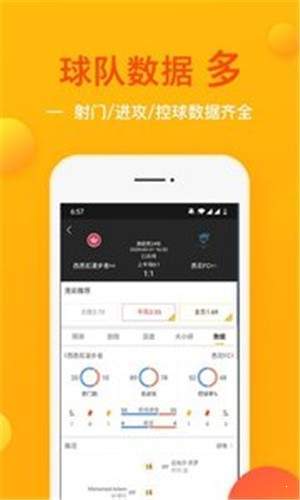 球運(yùn)安卓版