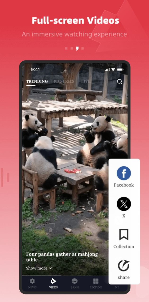 人民日?qǐng)?bào)英文版下載