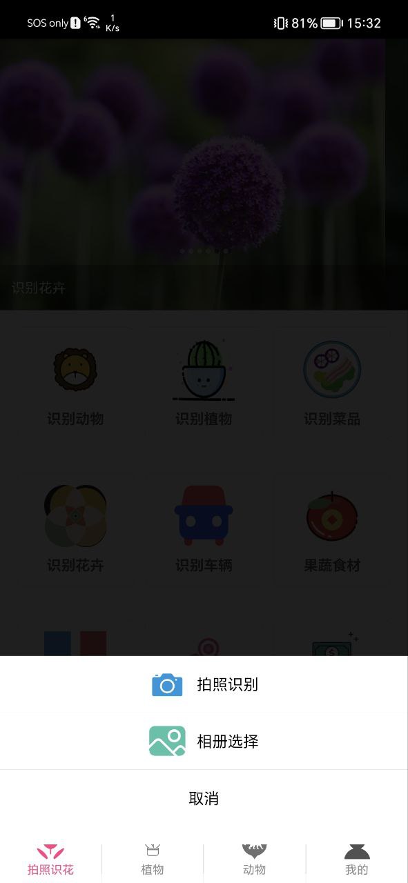 拍照識花神器收費嗎
