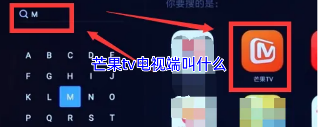《芒果TV》芒果TV電視端的名稱是什么？