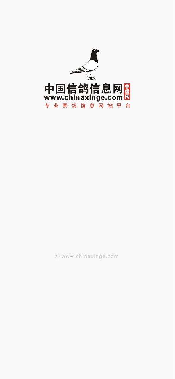 中國信鴿查詢網信息網怎么用