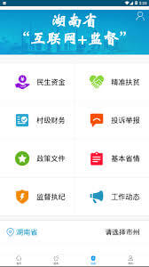 湖南政務服務網app