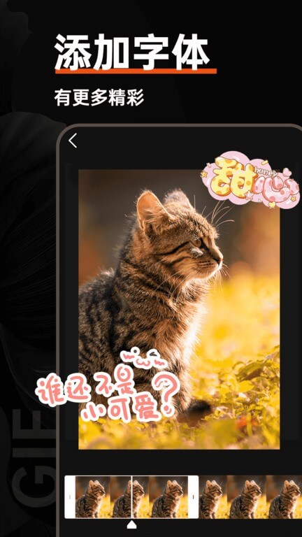 gif動圖制作器安卓