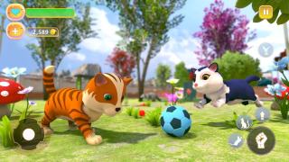 貓咪治愈屋(Cute Kitten Simulating Game)