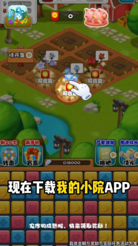 我的小院