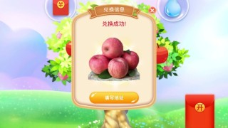 金銀果園游戲