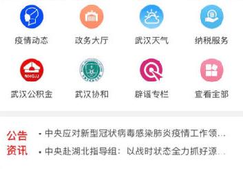數字武漢