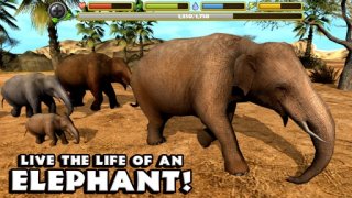 大象模擬器(The Elephant)
