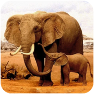 大象模擬器(The Elephant)