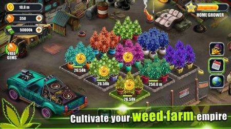 閑置雜草農(nóng)場(chǎng)Idle Weed Farm