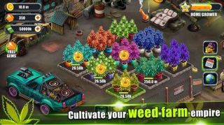 閑置雜草農(nóng)場(chǎng)Idle Weed Farm