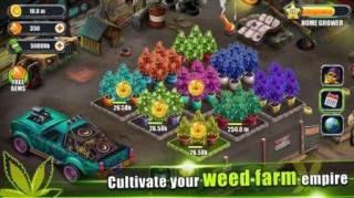 閑置雜草農(nóng)場(chǎng)Idle Weed Farm