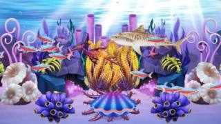 魚類天堂放置水族館Fish Paradise