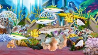 魚類天堂放置水族館Fish Paradise