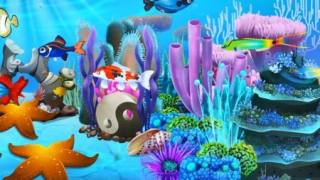 魚類天堂放置水族館Fish Paradise