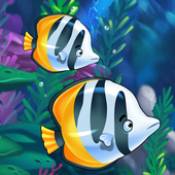 魚(yú)類(lèi)天堂放置水族館Fish Paradise