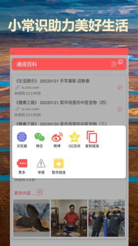 通閱百科