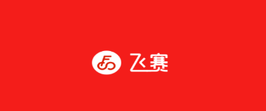 飛賽(在線騎行)