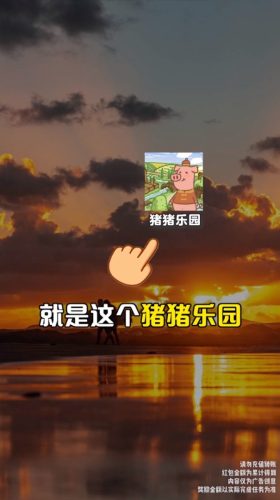 豬豬樂園