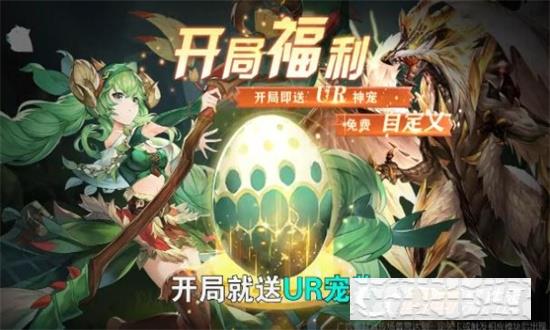 寶皮龍大作戰