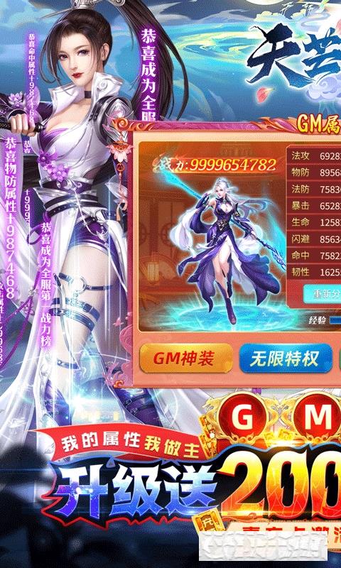 天芒之神送GM修改器