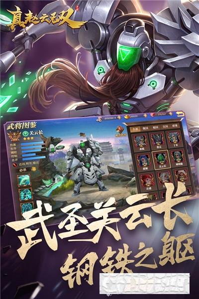 真趙云無雙