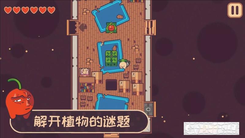 逃稅小蘿卜